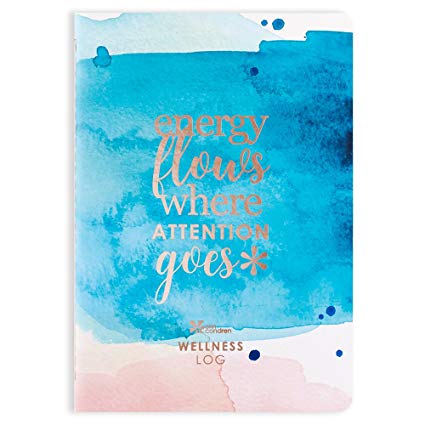 erin condren journal