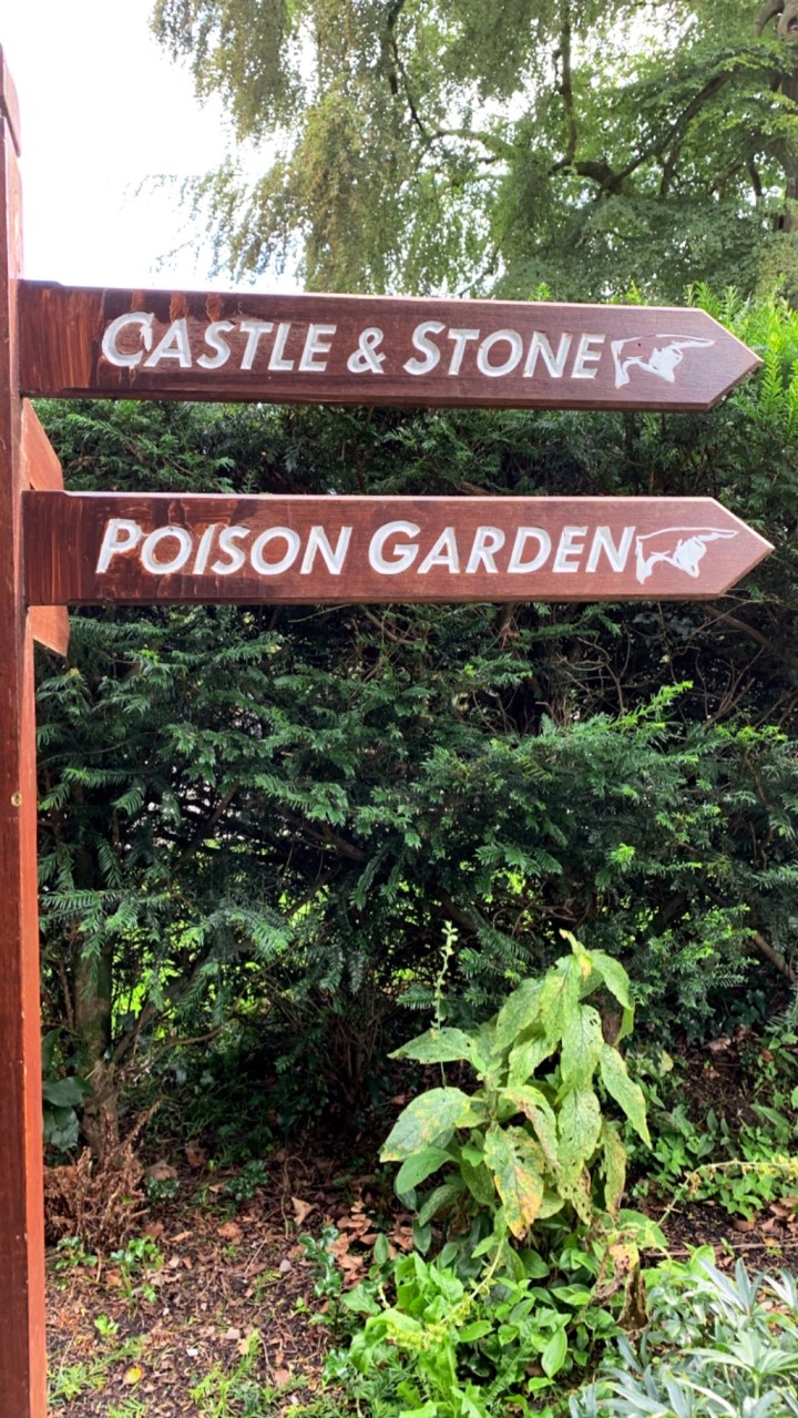 CD399236-A94B-437B-9014-5DCCF7DB1043