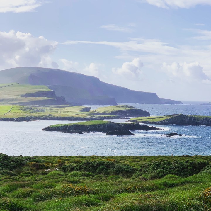 01FB6DD7-A947-44C7-A59E-DA29D95C4241