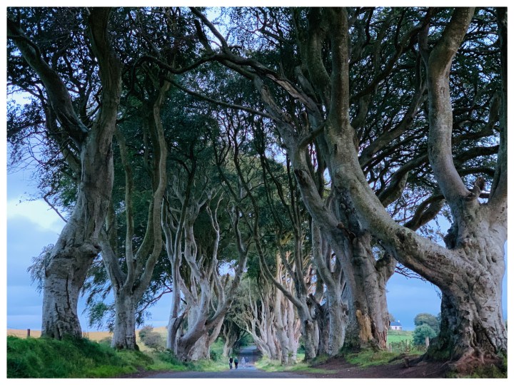 5D34AAB7-586B-4820-A8FF-623779121B59